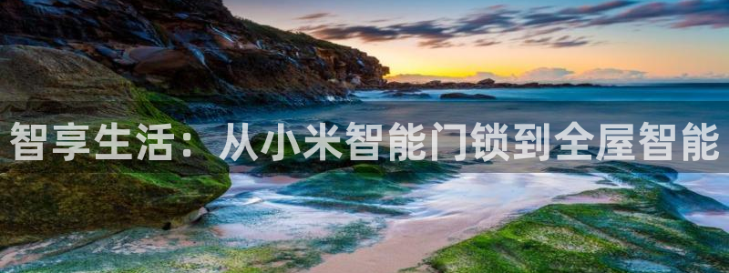 金年会体育官方网站：智享生活：从小米智能门锁到全屋智能