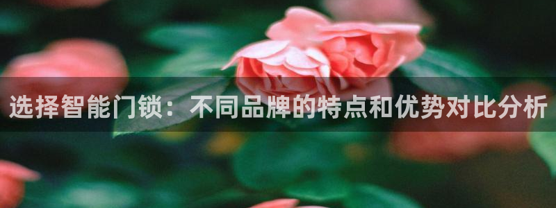 金年会娱乐下载：选择智能门锁：不同品牌的特点和优势对比分析