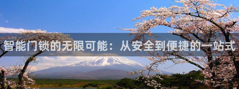 金年会官网app下载：智能门锁的无限可能：从安全到便捷的一站