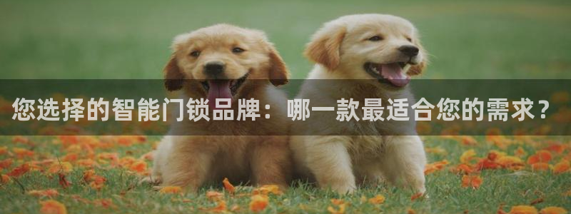 金年会足彩：您选择的智能门锁品牌：哪一款最适合您的需求？