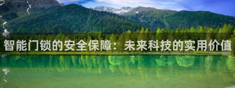 金年会在线：智能门锁的安全保障：未来科技的实用价值